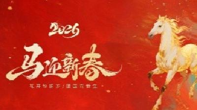 东西湖社会各界代表向全区人民拜年！