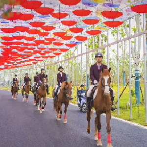 在东西湖，解锁“王炸”遛娃计划