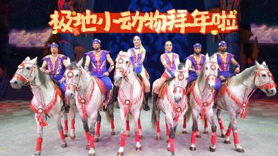 点击接极地萌宠福气，祝您全年好运来！