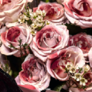 马年春节，她把云南的春天搬进东西湖