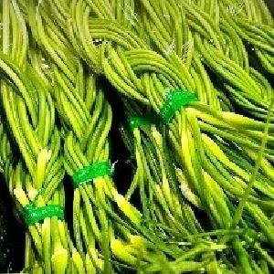 鱼满塘、菜满棚......春节“菜篮子”稳稳的！