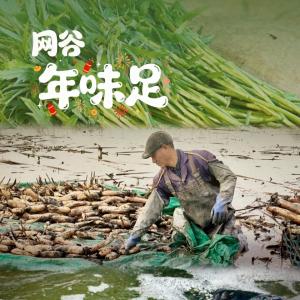 东西湖“冬藏三珍”走俏年夜饭餐桌