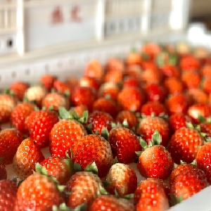 现摘现吃！请收下东西湖“甜蜜的邀约”