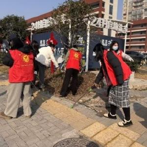 长青街开展“清洁家园”环境卫生专项整治行动