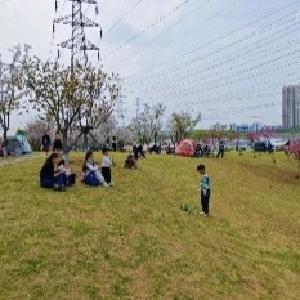 以“洁”待客 以“净”焕新，将军路文旅公司开展黄塘湖岸线清理