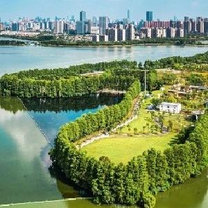 东西湖，到底有多少树！！！