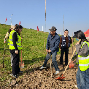 区水务和湖泊局开展义务植树活动