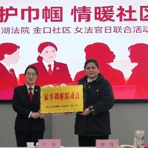 东西湖区人民法院联合金口社区举办“女法官国际日”主题活动