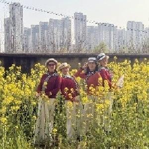 将南社区“微改造”让荒地变身春日打卡点