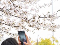 地铁口左转，获取浪漫暗号