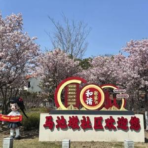 马池墩社区联合开展马池二村环境整治行动