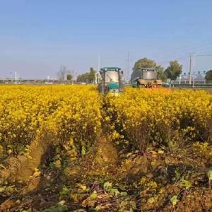 柏泉农业技术开发有限公司全力推进春耕生产