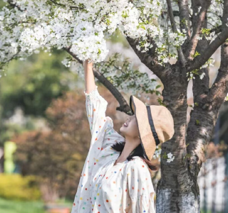 东西湖赏樱攻略，来了！