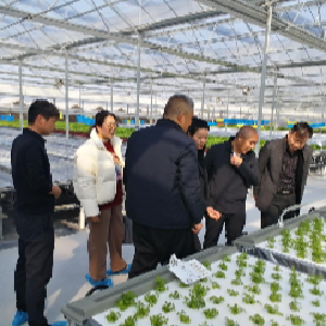 区行政审批局下沉一线为企业纾困