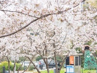 地铁口左转，获取浪漫暗号