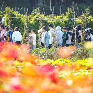 东西湖春耕，为啥孩子都抢着来打卡？