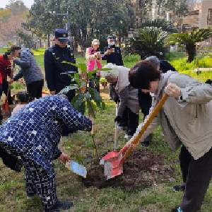 植此青绿，共赴春日之约