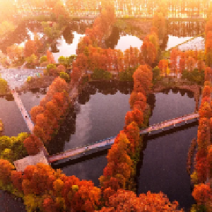 美丽中国省域先行区，为何选中这五个地方？