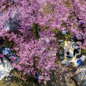 春天里，看见一个活力富足的中国