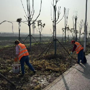 全力整治环境静候金山大道西延线通车