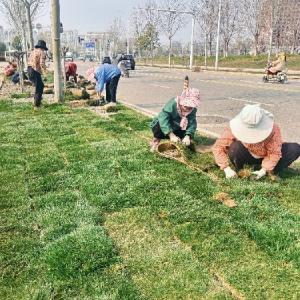 东西湖区城市精细化管理专班全程护航 倾力打造“最美赛道”助力网谷“健康跑”