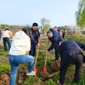 柏泉街组织开展义务植树活动