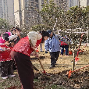 常青花园第六社区多方联动开展植树节主题活动