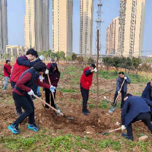 全民义务植树节 共建网安科技城