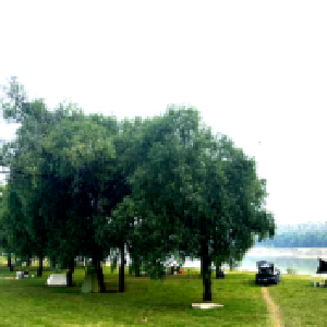 人气、财气，都来了！汉江堤新沟镇段全线开放