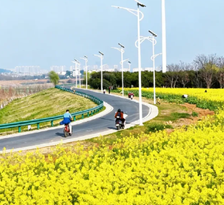 拆掉“墙”，打开门：府河大堤变身城市活力走廊