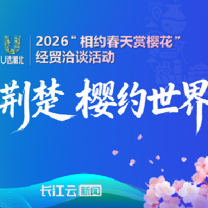 花开荆楚 樱约世界｜长江之畔，一场“双向奔赴”的春日之约