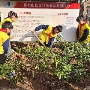 吴家山街祁家山社区与吴家山第四小学共植春日希望