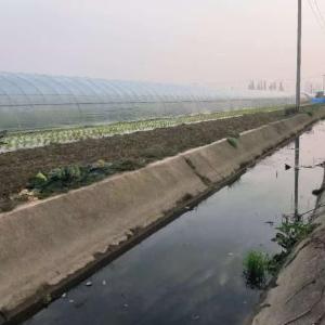 做好靠前服务，把企业“烦心事”办成“暖心事”