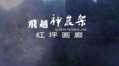 神农架：红坪镇之春