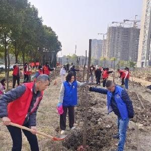 径河街长墩堤社区：植此青绿 不负春光