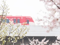 地铁口左转，获取浪漫暗号