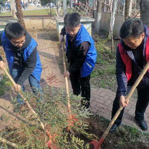 多方联动添新绿 携手共筑生态家