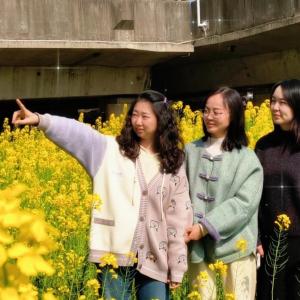 杨柳社区云上城小区“金色花海”背后是这样的暖心蜕变