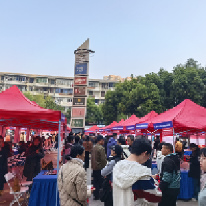 吴家山街开展2026年“春风行动暨就业援助季”专场招聘会