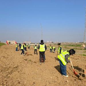 区水务和湖泊局连续开展义务植树活动为堤防和湖泊添新绿