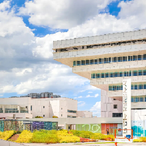 本周日冲网谷！公园+美食+大片，一条赛道全拿捏