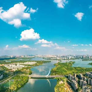 区委书记王敏发出邀约：来中国网谷 游湿地花城