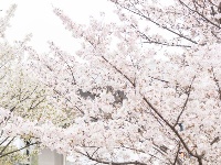 地铁口左转，获取浪漫暗号