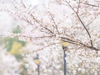 地铁口左转，获取浪漫暗号