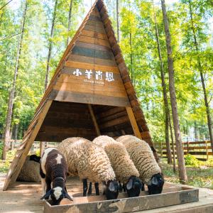 按这条清单，玩遍东西湖！