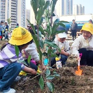 径河街道莲花湖社区：植一片新绿 筑一方美好