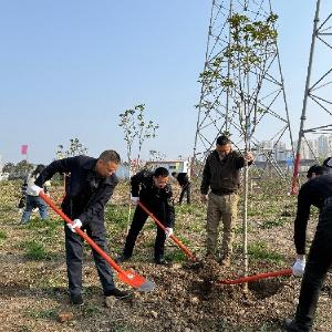 春风十里，不如植绿有你——将军路街举办“2026春启，植绿赴新程”主题植树活动