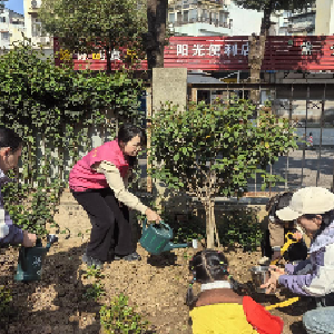 常青花园第一社区开展植树节主题活动