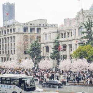 不止奔跑，更是漫步！汉马42公里赛道藏着“春日赏花观景长廊”