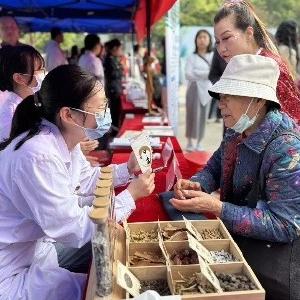 共建健康城镇 东西湖区第38个爱国卫生月活动正式启动